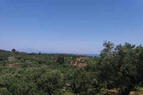 Земельный участок в Закинтос, Греция №69526 3