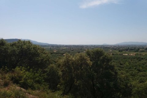 Земельный участок в Закинтос, Греция №69526 26