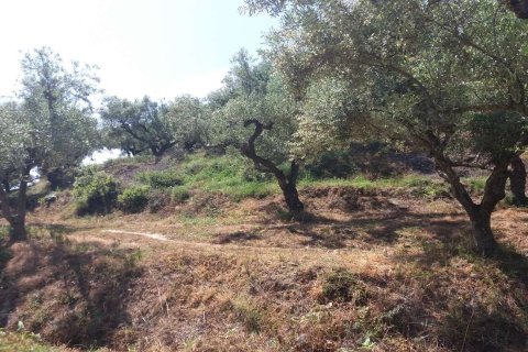 Земельный участок в Закинтос, Греция №69526 21