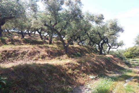 Земельный участок в Закинтос, Греция №69526 25