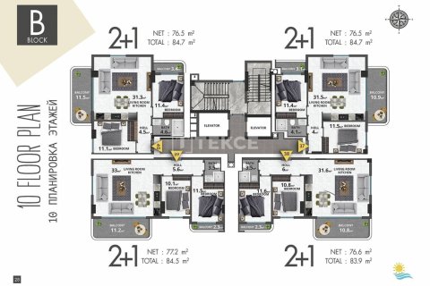 4 bedrooms Penthouse in Chau Lang, Vietnam No. 11001 10