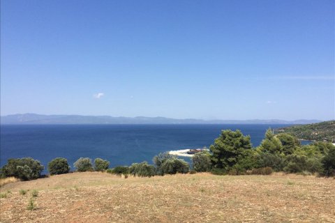 10170m² Land à Chalkidiki, Greece No. 58914 1
