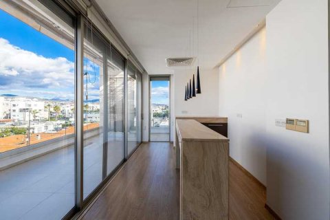 3 chambres Penthouse à Limassol, Cyprus No. 63810 13