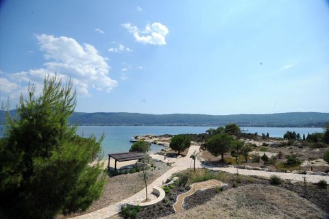 5 dormitorios Villa en Chalkidiki, Greece No. 60325 14