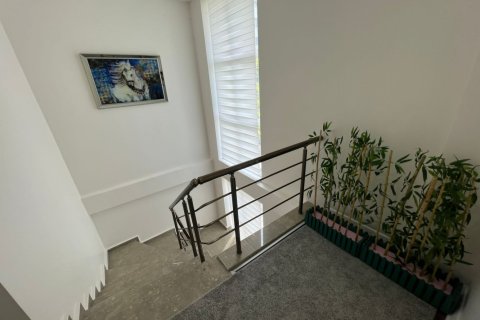 5 bedrooms Villa in Dong Coc, Vietnam No. 14842 11