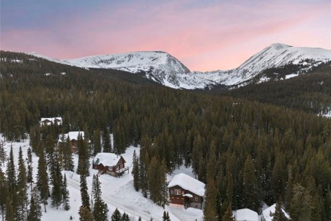 Дом с 3 спальнями в Брекенридж, США №79797 7