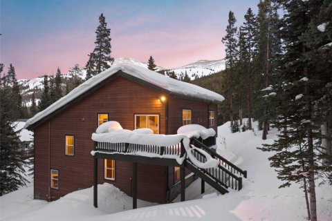 Дом с 3 спальнями в Брекенридж, США №79797 5