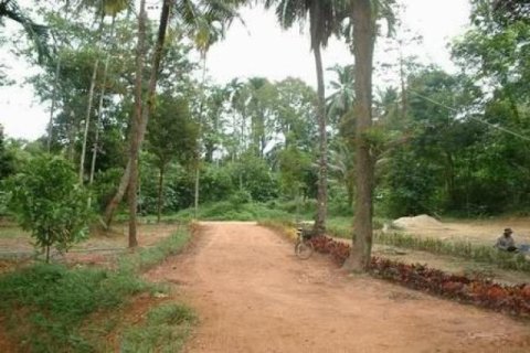 72000m² Land in Phang Nga, Thailand No. 95632 3