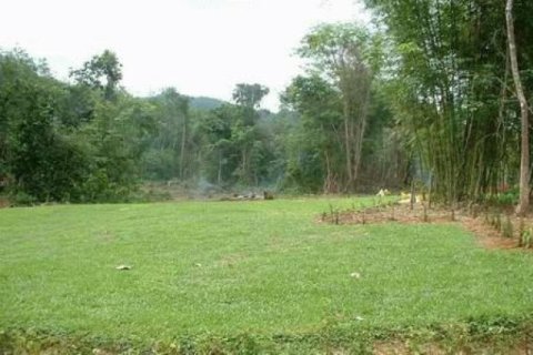 72000m² Land in Phang Nga, Thailand No. 95632 2