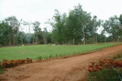 72000m² Land in Phang Nga, Thailand No. 95632 4