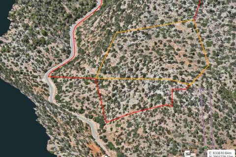 375000m² Land in Malia, Greece No. 55634 13
