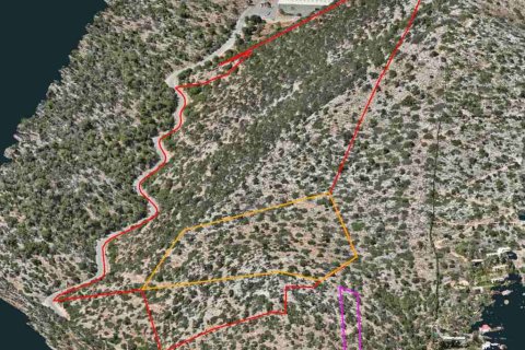 375000m² Land in Malia, Greece No. 55634 6