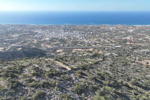 375000m² Land in Malia, Greece No. 55634 15