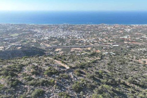 375000m² Land in Malia, Greece No. 55634 11