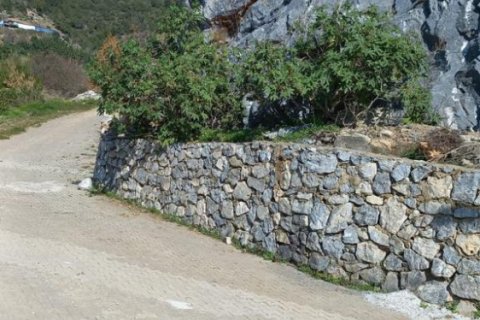 5 rooms Land à My Thanh, Vietnam No. 12354 6