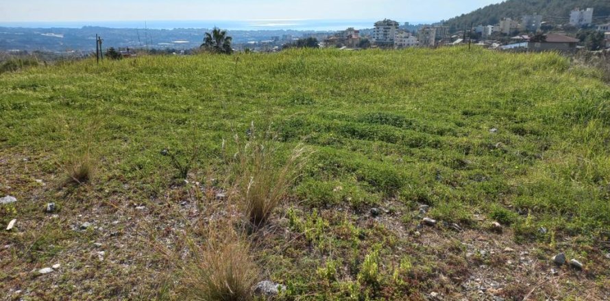 Земельный участок с 5 комнатами в Оба, Турция №12354