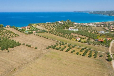Земельный участок 9900м² в Халкидики, Греция №56090 4