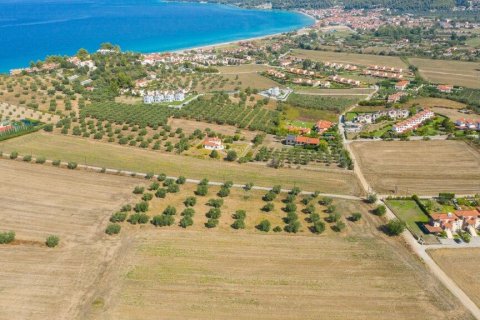 Земельный участок 9900м² в Халкидики, Греция №56090 10