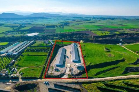 Commercial property à Limassol, Cyprus No. 73805 1