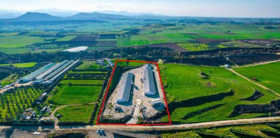 Commercial property à Limassol, Cyprus No. 73805