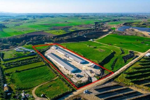 Commercial property à Limassol, Cyprus No. 73805 2