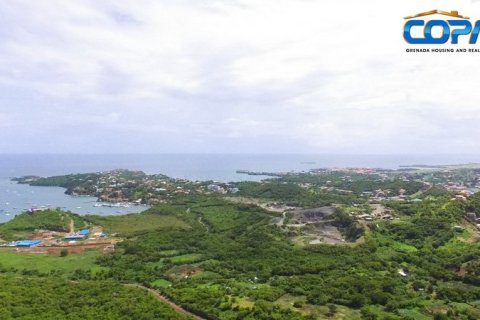 6782.2m² Land in Mount Hartman, Grenada No. 53186 8