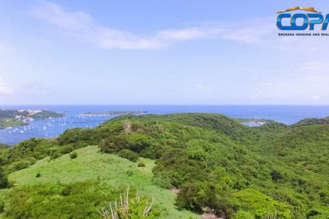 6782.2m² Land in Mount Hartman, Grenada No. 53186 10