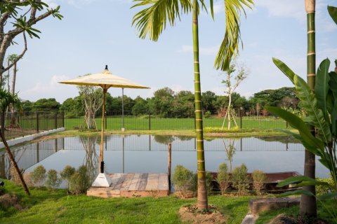 7 bedrooms House in Chiang Mai, Thailand No. 97671 28
