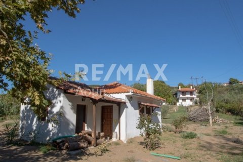 Дом с 4 спальнями в Магнисия, Греция №64930 23