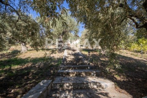 Дом с 4 спальнями в Магнисия, Греция №64930 19