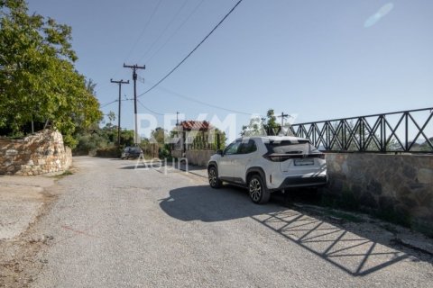 Дом с 4 спальнями в Магнисия, Греция №64930 3