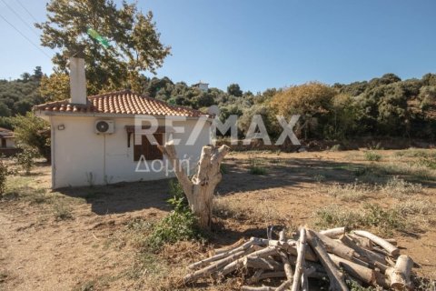 Дом с 4 спальнями в Магнисия, Греция №64930 11