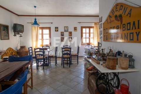 Дом с 4 спальнями в Магнисия, Греция №64930 14