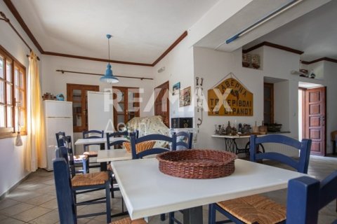 Дом с 4 спальнями в Магнисия, Греция №64930 17