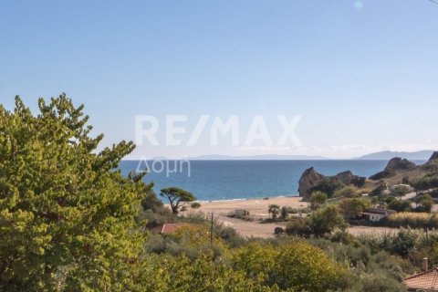 Дом с 4 спальнями в Магнисия, Греция №64930 25