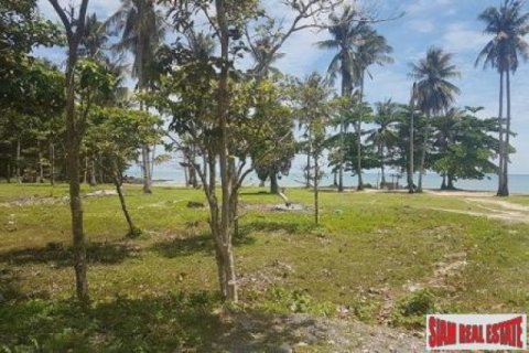 200000m² Land in Ko Lanta Yai, Thailand No. 96441 4