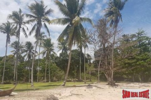 200000m² Land in Ko Lanta Yai, Thailand No. 96441 5