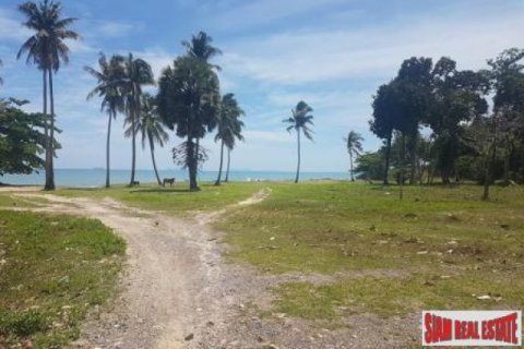 200000m² Land in Ko Lanta Yai, Thailand No. 96441 6