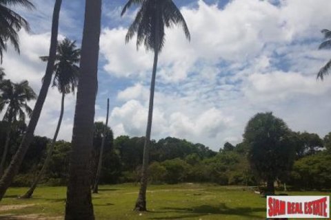 200000m² Land in Ko Lanta Yai, Thailand No. 96441 7