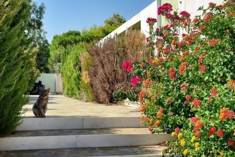 3 bedrooms Maisonette in Keratea, Greece No. 107453 30