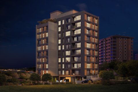 Квартира с 1 спальней в Кягытхане, Турция №113851