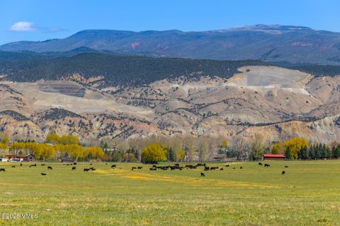 15.13m² Land in Gypsum, USA No. 104554 8