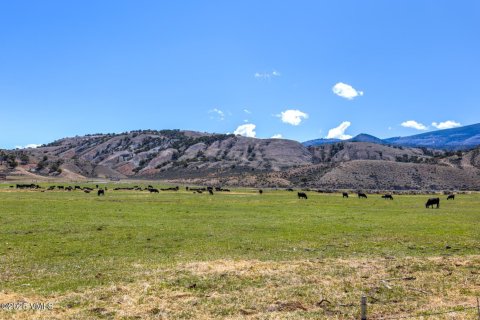 15.13m² Land in Gypsum, USA No. 104554 17