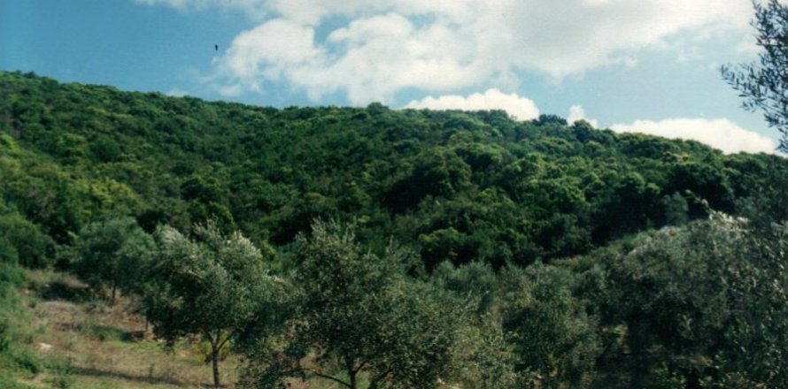 68000m² Land in Corfu, Greece No. 59213