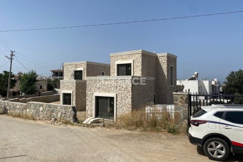 3 dormitorios Villa en Phi Dien, Vietnam No. 22165 26