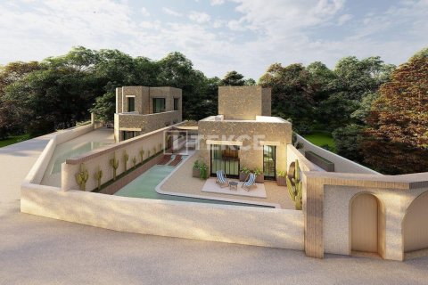 3 dormitorios Villa en Phi Dien, Vietnam No. 22165 3