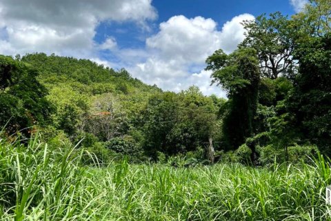 Land in Chiang Mai, Thailand No. 97849 6