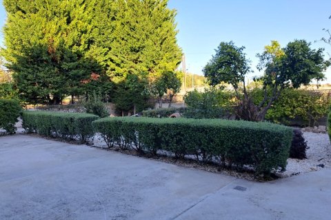 5 bedrooms House in Geroskípou, Cyprus No. 37260 9