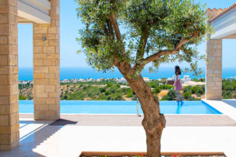 3 chambres Villa à Paphos, Cyprus No. 82703 2