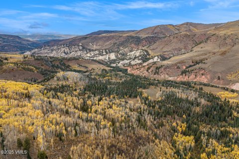 6.66m² Land in Gypsum, USA No. 104546 17